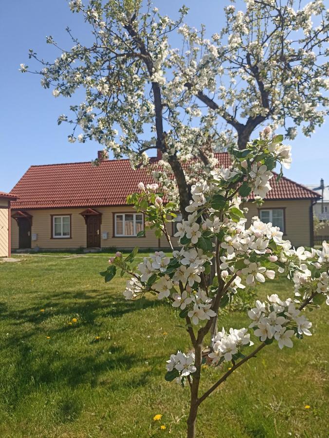 Vingi Apartment 12 Parnu Exterior photo